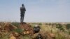 Niger : sept soldats et "des dizaines" de jihadistes présumés tués près du Burkina 