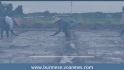 မြန်မာတောင်သူတွေအတွက် အသေးစားချေးငွေ လိုအပ်ချက်