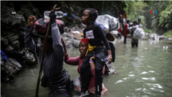 ARCHIVO - Migrantes haitianos atraviesan un río a su paso por el Tapón del Darién