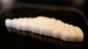 Israeli Company Creates 3D-Printed Fish