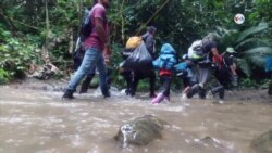 La migración por el Tapón del Darién alcanza cifras históricas