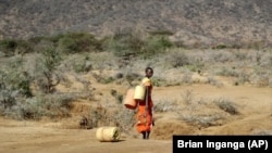 ARCHIVO- Una mujer samburu va a buscar agua durante una sequía el condado de Samburu, Kenia,el 16 de octubre de 2022. 