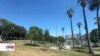 EEUU: Los Ángeles registra aumento de casos de COVID-19 