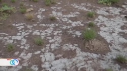 Cambio climático impacta las tierras costeras salvadoreñas