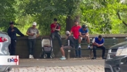 El reto de Nueva York para ocupar a los migrantes