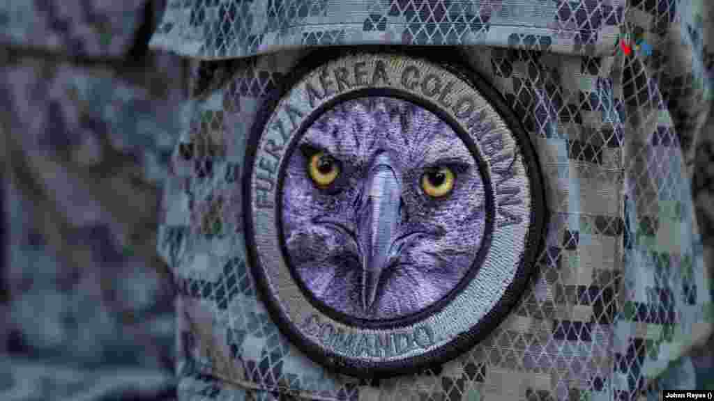 El águila arpía está considerada por la Unión Internacional para la Conservación de la Naturaleza como una especie “casi amenazada”.