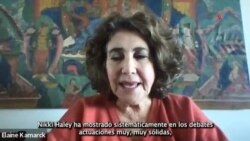  Elaine Kamarck, Analista del Brookings Institute