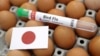Japan Detects Season's First Bird Flu Case, Will Cull 40,000 Birds, Report Says 