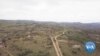 Snakebite Risk Worsens in Eswatini Because of Antivenom Scarcity 