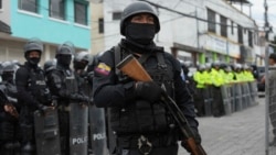 Ecuador: capturan 329 terroristas y cinco son abatidos 