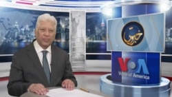 بھارتی کسان ،نہنگ سکھ کون ہیں