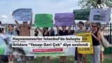 Hayvanseverler iktidara İstanbul’dan çağrı yaptı: “Katliam yasasını geri çek”