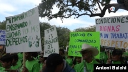 Muchos de los indocumentados consideran que con la nueva ley que criminaliza la migración irregular en Florida, la comunidad migrante sin papeles quedará "sin ningún amparo".