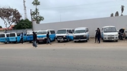 MEA quer acesso acesso a passes de transporte para todos os estudantes -3:22
