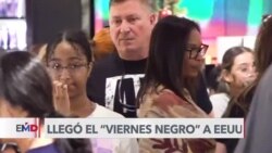 Millones de compradores atestan tiendas en EEUU durante el Viernes Negro