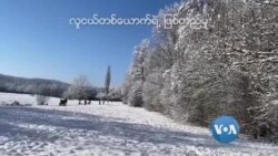 Ludwigsburg ပညာရေးတက္ကသိုလ်