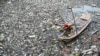 Seorang petugas kebersihan berusaha membersihkan sampah plastik yang mengotori saluran air di Kanal Buckhingham di Chennai, India, pada 16 November 2023. (Foto: AFP/R. Satish Babu)