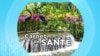 CARNET DE SANTE DU 28 AOUT 2024 (Photo : AFP)