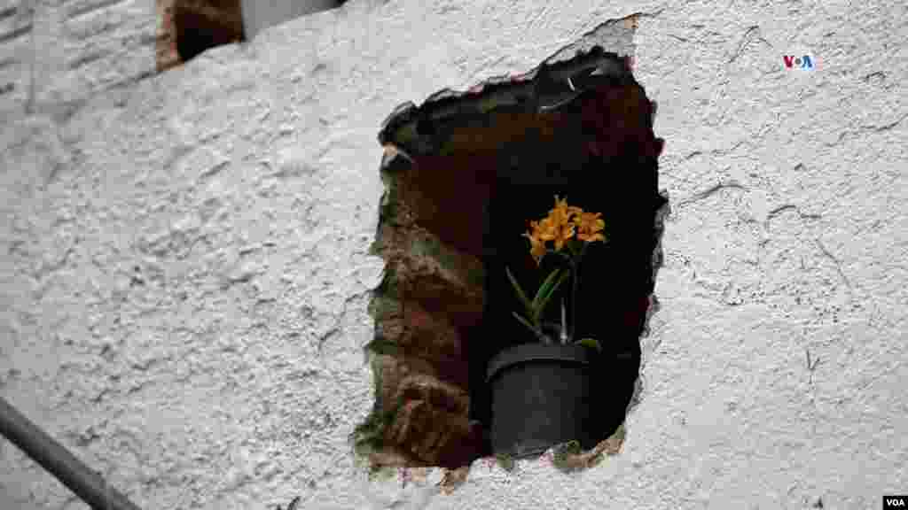 Este jardín botánico “oculto” tiene un mariposario y una diversidad de plantas que adornan al sitio.