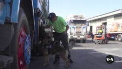 Israel Expands Inspection of Humanitarian Aid Trucks to Gaza 