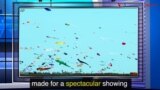News word thumbnail