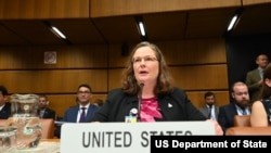 로라 홀게이트 국제원자력기구(IAEA) 주재 미국 대사가 2일 오스트리아 빈에서 열린 '우주의 평화적 이용에 관한 유엔위원회(UN COPUOS)' 제66차 본회의에서 발언하고 있다.