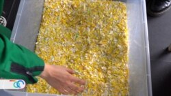 Transformación del plástico: de basura a artículos de primera necesidad