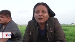 Aumenta número de migrantes que se entregan en la frontera sur de EEUU