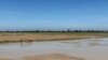 ដី​ធ្វើ​ស្រែ​របស់​កសិករ​ក្នុង​ស្រុក​កណ្តៀង ខេត្តពោធិ៍សាត់ កាលពី​ថ្ងៃទី១៨ ខែវិច្ឆិកា ឆ្នាំ២០២៣ ។ (ស៊ុន ណារិន/វីអូអេ)
