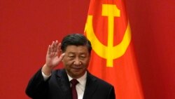 國事光析：豈止習近平是專制者？