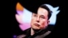What Kind of Leader Does Twitter Need? 