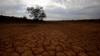 Report: World Locked in 1.5 C Temperature Rise