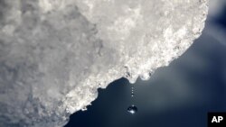 ARHIVA -Topljenje ledenog brega na Grenlandu (Foto: AP/David Goldman)