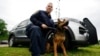 When Marijuana Becomes Legal, Drug-Sniffing K-9s Are Out of a Job