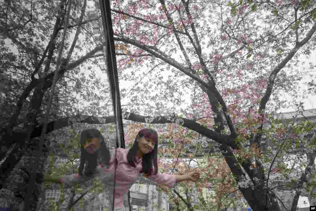2018年3月30日，在上海的一个公共汽车站，樱花树下，一位穿着樱花颜色服装的女孩在公共汽车上探出身来拍照。人面樱花交相映，巴士车窗也如镜。