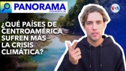 Panorama |¿Qué está haciendo Centroamérica para combatir la crisis climática?