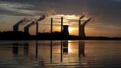 Quiz - Is Climate Change Making You Sneeze More?