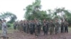 TNLA ခေါ် ပလောင်တပ်ဖွဲ့