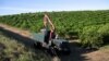 Tres sentenciados por caso de trabajo forzado de empleados agrícolas mexicanos