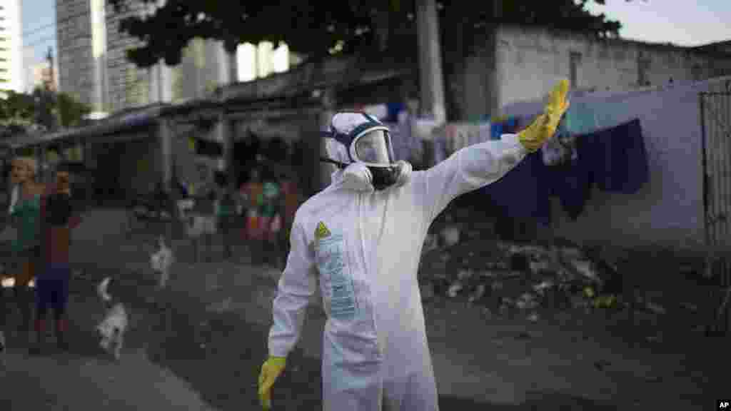 Des employés municipaux lors d'une opération de lutte contre les moustiques Aedes aegypti qui transmet le virus Zika à Recife, Pernambuco, au Brésil, 26 janvier 2016