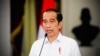 Jokowi Perintahkan Penguatan 'Green Economy' dan 'Blue Economy'