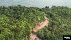 A dirt path winds through the forest in Phu Quoc, Vietnam. The nation is rapidly urbanizing, which brings risk of contact between humans and infected animals. 