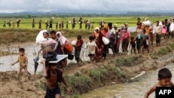 Rohingya Refugees
