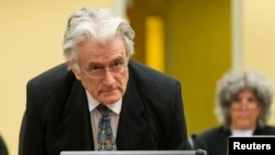 FILE - Bosnian Serb wartime leader Radovan Karadzic appears in the courtroom at the International Criminal Tribunal for Former Yugoslavia in The Hague July 11, 2013.