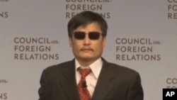 陳光誠（資料照片）
