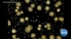 16x9 Image