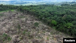 FILE - An aerial view shows a deforested area during an operation to combat deforestation near Uruara, Para State, Brazil January 21, 2023. (REUTERS/Ueslei Marcelino)