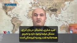 امید شکری، تحلیلگر- در بازار انرژی مشکل عرضه وجود دارد و تحریم همه‌جانبه نفت روسیه غیرممکن است 