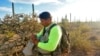 Pastor-led Group Seeks Missing Migrants in Border Desert 