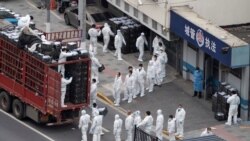 上海大封控下的地方官員處境 躺平還是歡迎？